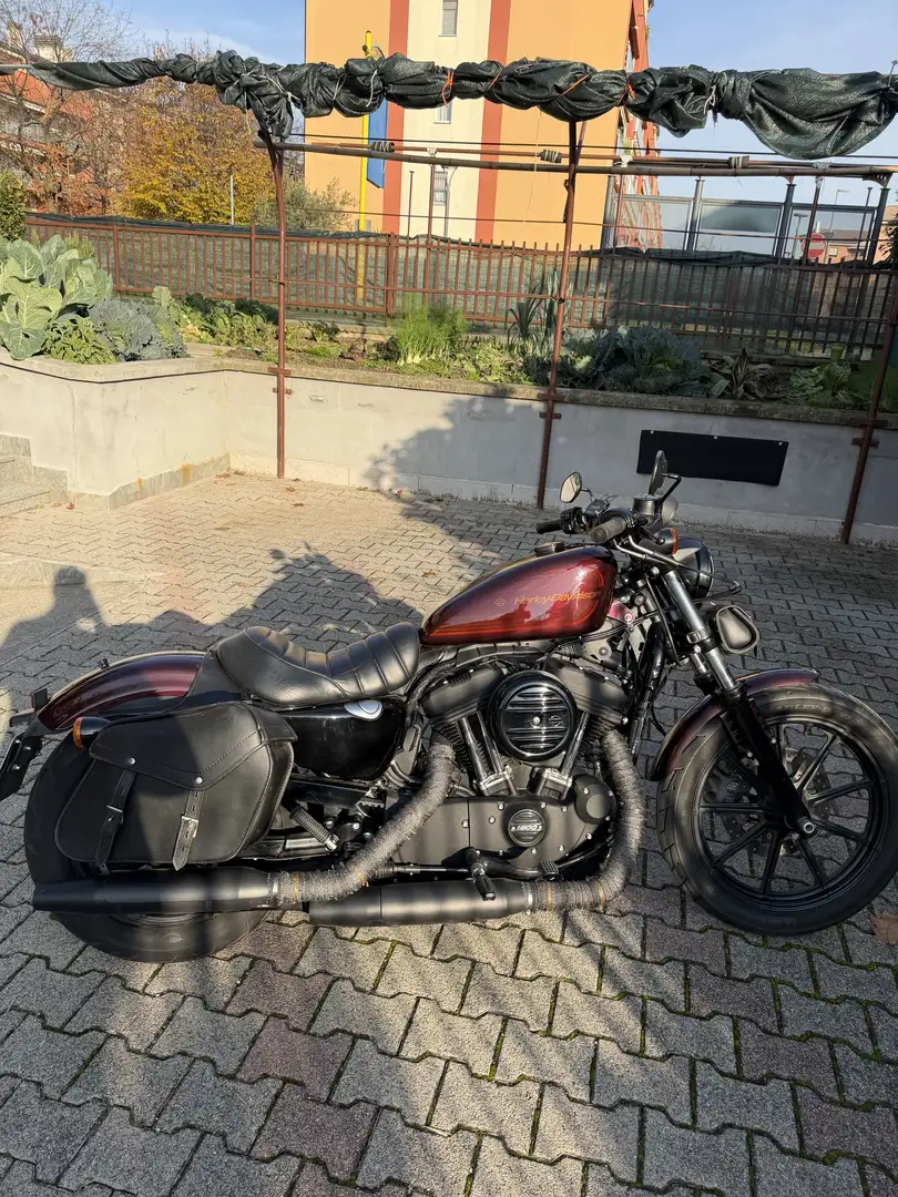 Harley-Davidson Sportster 1200 sportster - 1