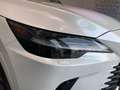 Lexus RX 450h 450h+ Executive Blanco - thumbnail 17