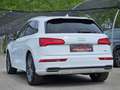 Audi Q5 2,0 TDI quattro sport S-line S-tronic *Luft*LED* bijela - thumbnail 9