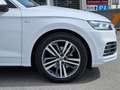 Audi Q5 2,0 TDI quattro sport S-line S-tronic *Luft*LED* Bílá - thumbnail 12
