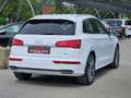 Audi Q5 2,0 TDI quattro sport S-line S-tronic *Luft*LED* Wit - thumbnail 8