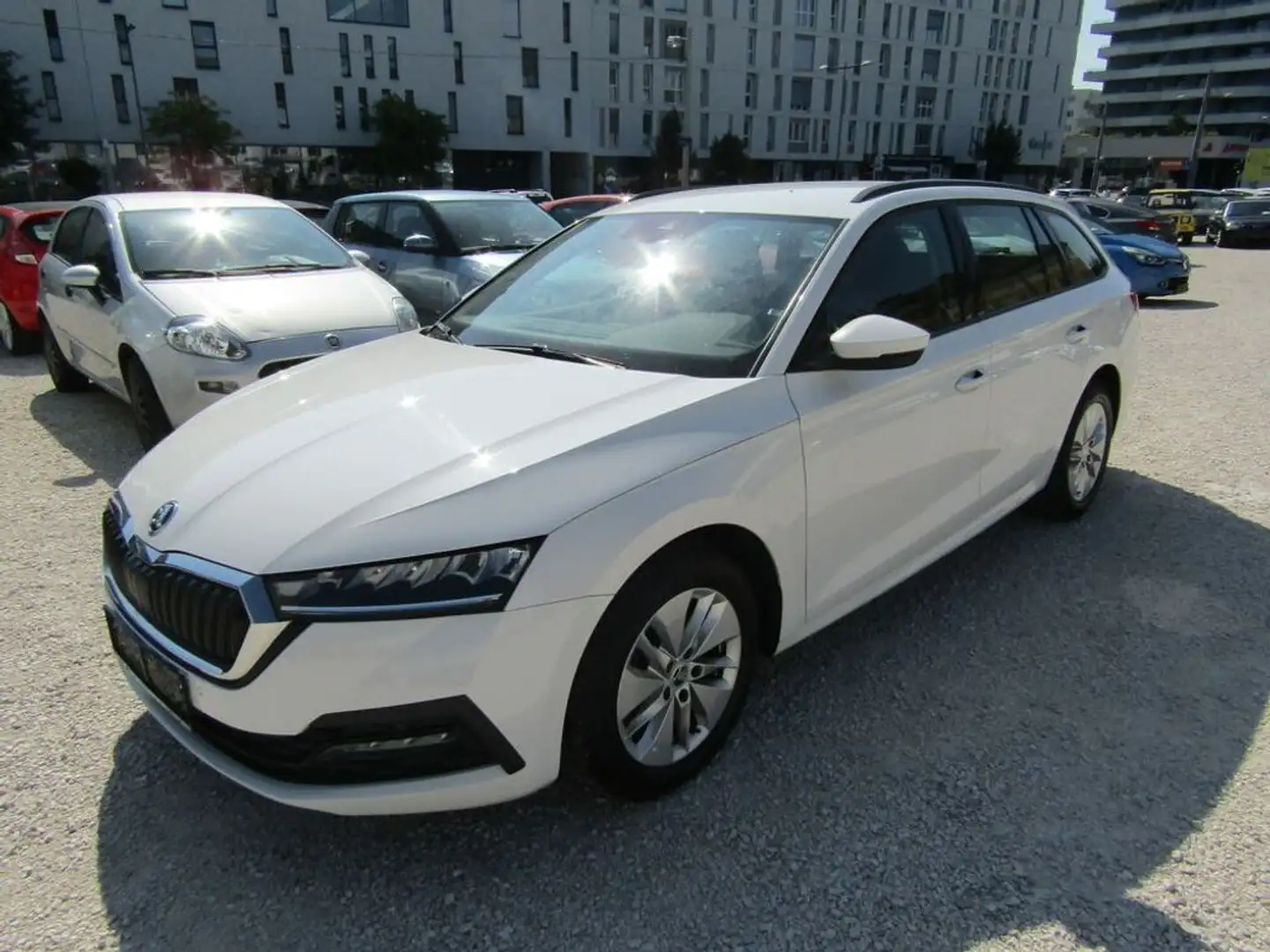 Skoda Octavia Ambition Blanc - 1