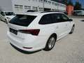 Skoda Octavia Ambition Blanc - thumbnail 4