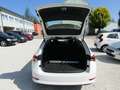 Skoda Octavia Ambition Blanc - thumbnail 7