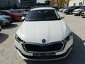 Skoda Octavia Ambition Blanc - thumbnail 3