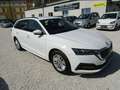 Skoda Octavia Ambition Blanc - thumbnail 2