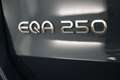 Mercedes-Benz EQA 250 Business Solution Luxury LEDER/CUIR LED GPS PDC CA Bleu - thumbnail 22