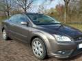Ford Focus CC Coupe-Cabriolet 1.6 16V Trend Braun - thumbnail 7
