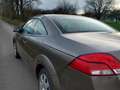 Ford Focus CC Coupe-Cabriolet 1.6 16V Trend Maro - thumbnail 2