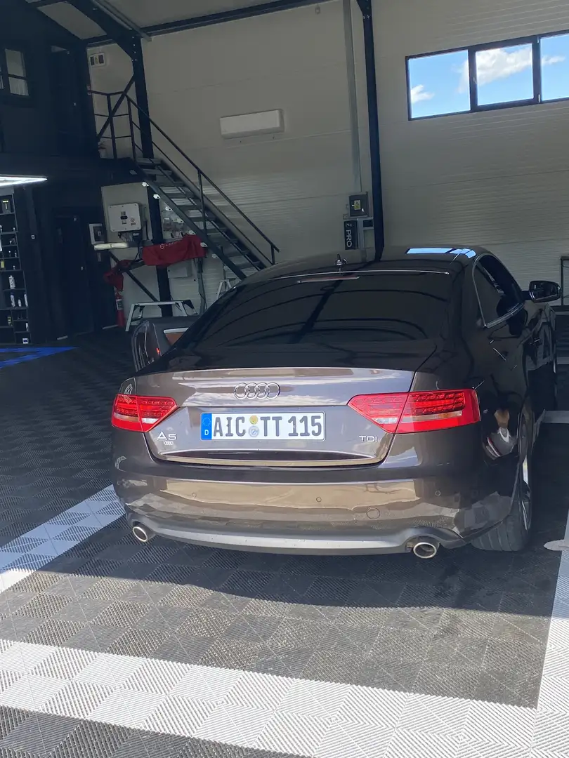 Audi A5 2.7 TDI DPF multitronic Braun - 2