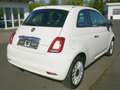 Fiat 500 1.0 GSE N3 Hybrid Lounge mit Einparkhilfe Bianco - thumbnail 4