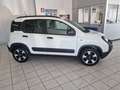 Fiat Panda Panda 1.0 FireFly S&S Hybrid City Cross Bianco - thumbnail 4