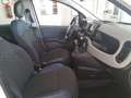 Fiat Panda Panda 1.0 FireFly S&S Hybrid City Cross Bianco - thumbnail 11