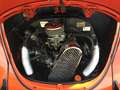 Volkswagen Maggiolino Jeans ASI motore 1600 vetro piatto narančasta - thumbnail 9