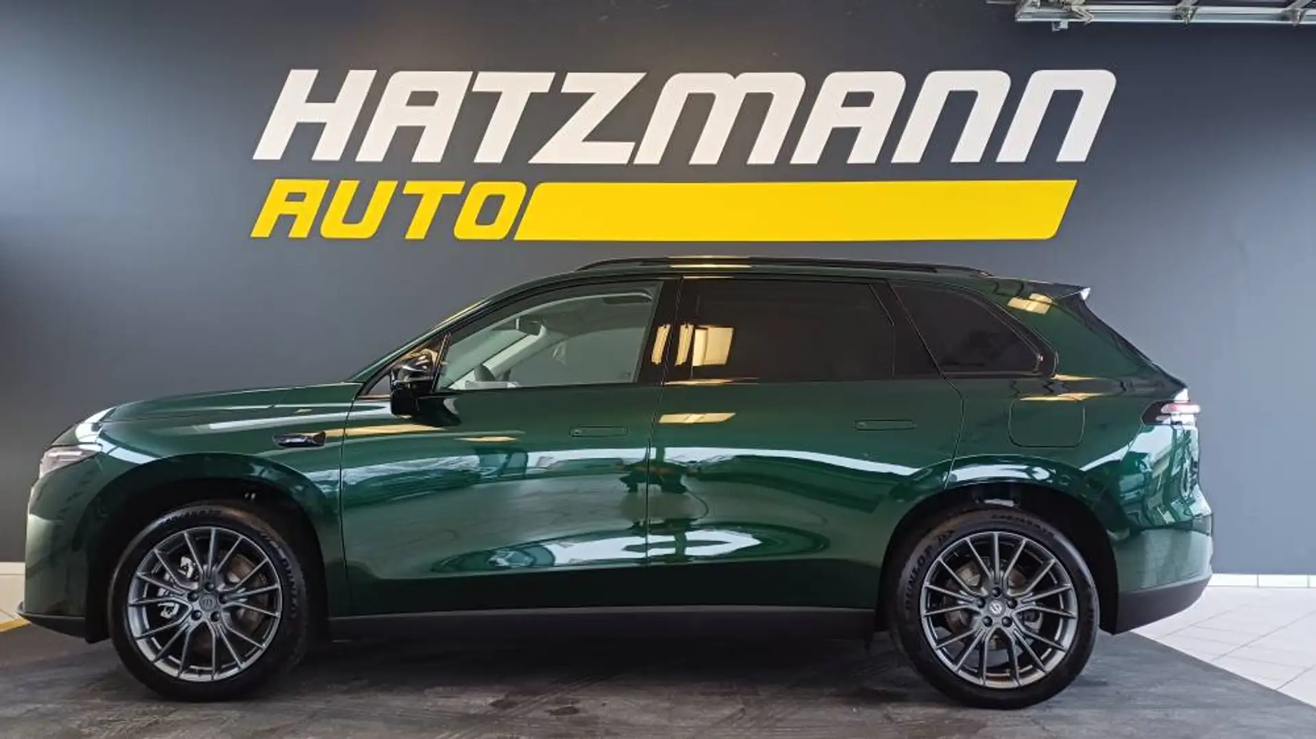 Leapmotor C10 Elektro Design ProMax AWD 81,9 kWh Grün - 1