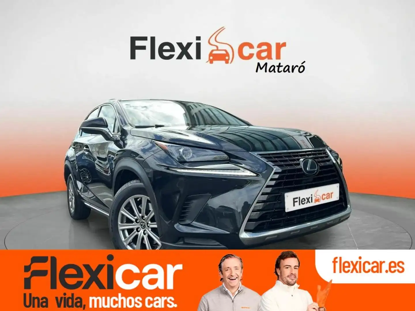 Lexus NX 300h 2.5 Executive Navigation Negro - 1