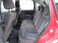 Citroen C3 1.1 Exclusive *OK NEOPATENTATI* *FINANZIABILE* Rojo - thumbnail 6