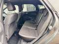 Ford Focus 1.5 TDCi Limousine ST-Line Rechtslenker Grau - thumbnail 8