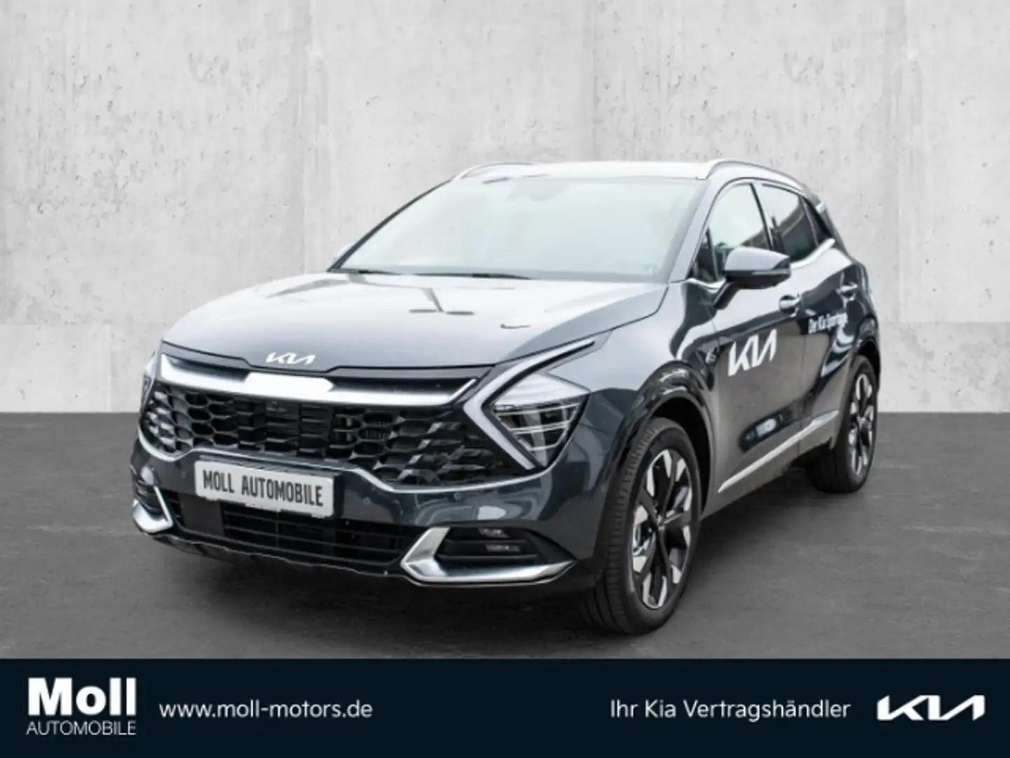 Kia Sportage 1.6 T-GD Plug-in Hybrid 4WD Plug&Ride Navi 360 Kam Grau - 1