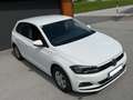 Volkswagen Polo 1.0 TSI –Top ausgestattet–1. Besitzer-31800km Weiß - thumbnail 3
