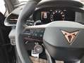 CUPRA Terramar 1.5 e-TSI 150 PS DSG Schwarz - thumbnail 14