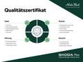 Skoda Superb Combi Selection 2.0TDI DSG Navi LED HuD A Silber - thumbnail 17