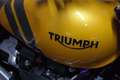Triumph Scrambler 900  LIEFERBAR Jaune - thumbnail 7