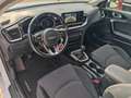 Kia Ceed SW / cee'd SW Ceed SW 1.6 CRDi Mild Hybrid Vision Nav AHK Weiß - thumbnail 17