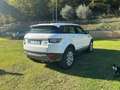 Land Rover Range Rover Evoque Range Rover Evoque 5p 2.0 td4 pure busin Bianco - thumbnail 3