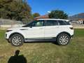 Land Rover Range Rover Evoque Range Rover Evoque 5p 2.0 td4 pure busin Bianco - thumbnail 10