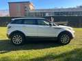 Land Rover Range Rover Evoque Range Rover Evoque 5p 2.0 td4 pure busin Bianco - thumbnail 11