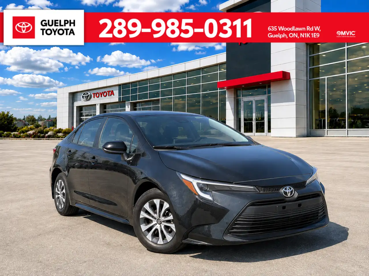 2024 Toyota Corolla