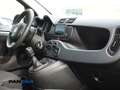 Fiat Panda 1.0 firefly hybrid s Nero - thumbnail 13