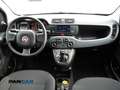 Fiat Panda 1.0 firefly hybrid s Nero - thumbnail 11