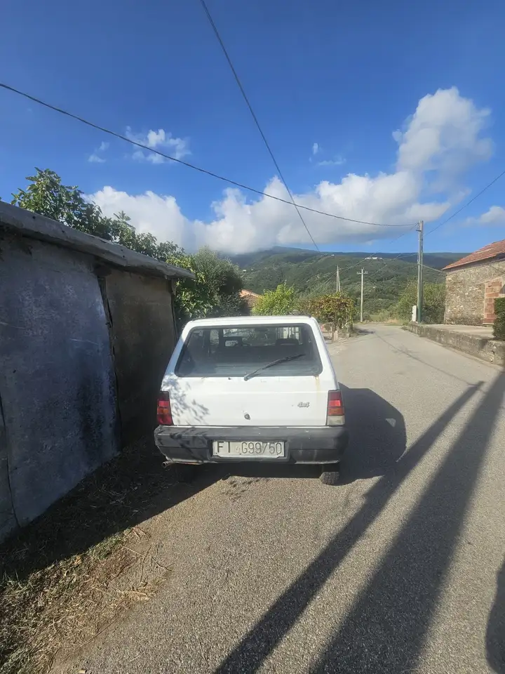 Fiat Panda 1.0 4x4 my86, foto 1