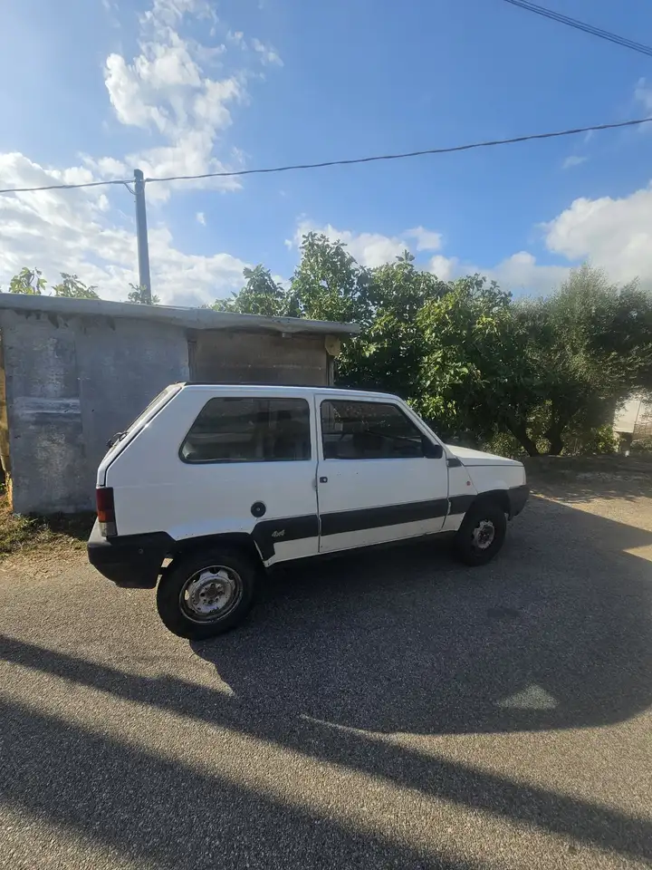Fiat Panda 1.0 4x4 my86, foto 2