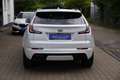 Cadillac XT4 Sport 2.0 TD LEDER+NAVI+PANORAMA+KAMERA+AHK+ALU+71Tkm Weiß - thumbnail 21