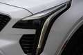 Cadillac XT4 Sport 2.0 TD LEDER+NAVI+PANORAMA+KAMERA+AHK+ALU+71Tkm Weiß - thumbnail 35