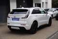 Cadillac XT4 Sport 2.0 TD LEDER+NAVI+PANORAMA+KAMERA+AHK+ALU+71Tkm Weiß - thumbnail 20