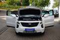 Cadillac XT4 Sport 2.0 TD LEDER+NAVI+PANORAMA+KAMERA+AHK+ALU+71Tkm Weiß - thumbnail 10