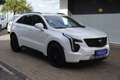 Cadillac XT4 Sport 2.0 TD LEDER+NAVI+PANORAMA+KAMERA+AHK+ALU+71Tkm Weiß - thumbnail 37