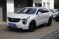 Cadillac XT4 Sport 2.0 TD LEDER+NAVI+PANORAMA+KAMERA+AHK+ALU+71Tkm Weiß - thumbnail 3
