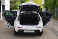 Cadillac XT4 Sport 2.0 TD LEDER+NAVI+PANORAMA+KAMERA+AHK+ALU+71Tkm Weiß - thumbnail 9