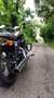 Harley-Davidson 1200 Custom - thumbnail 3