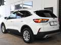 Ford Kuga Hybrid Titanium X*Aut*Taxi* Weiß - thumbnail 4