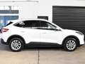 Ford Kuga Hybrid Titanium X*Aut*Taxi* Weiß - thumbnail 13