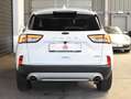 Ford Kuga Hybrid Titanium X*Aut*Taxi* Weiß - thumbnail 15