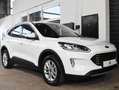 Ford Kuga Hybrid Titanium X*Aut*Taxi* Weiß - thumbnail 12