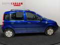 Fiat Panda Panda 1.2 Dynamic Blu/Azzurro - thumbnail 4