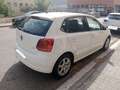Volkswagen Polo 1.4 Advance Blanco - thumbnail 10